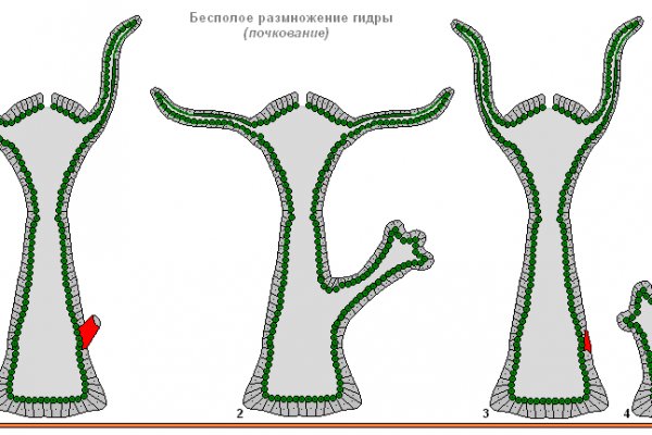 Кракен омг мега