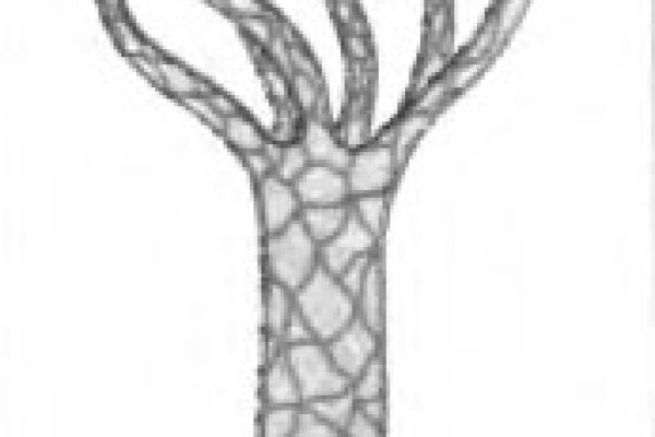 Kraken 12at