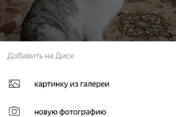 Кракен актуальные