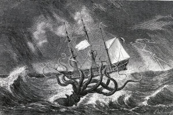 Kraken site