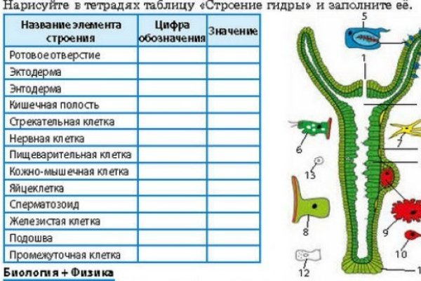 Кракен магазин kraken clear com