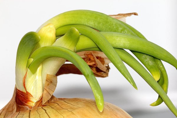 Ссылки кракен телеграф